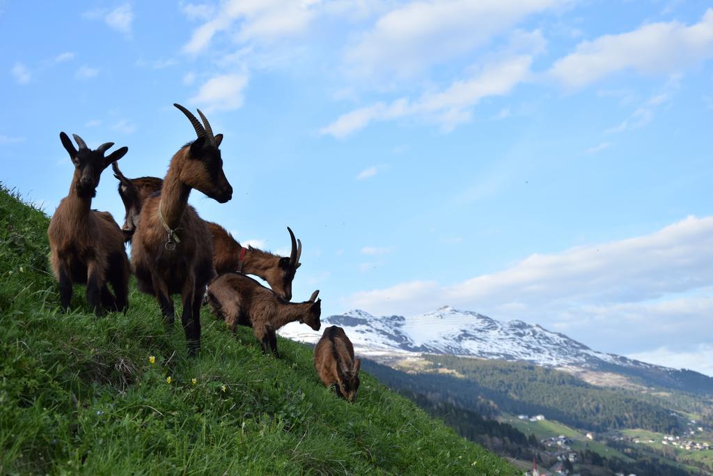 Garni Petter Hotel Kappl  Bagian luar foto